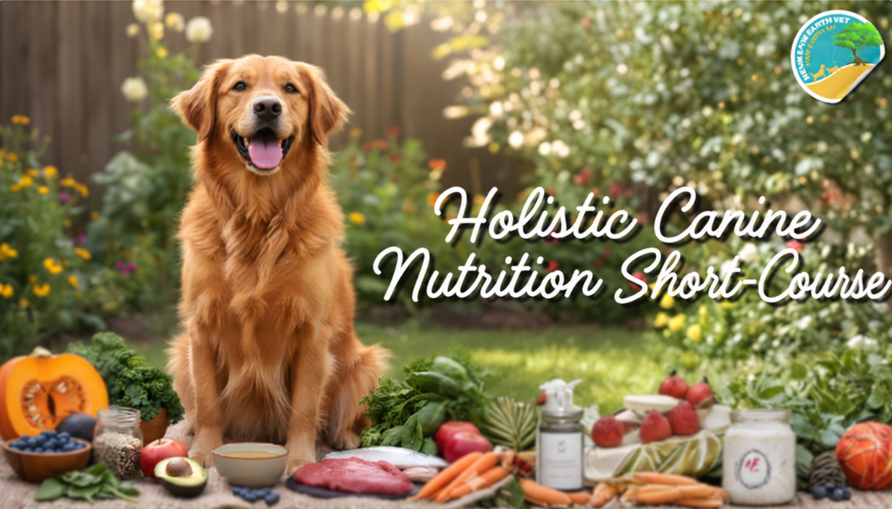 Holistic Canine Nutrition Resource